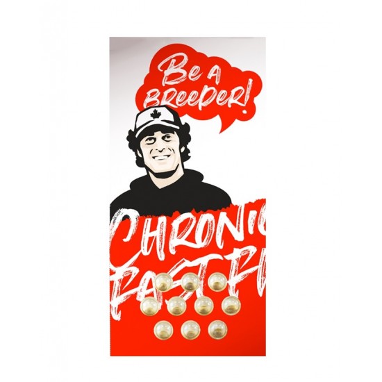 Chronic Fast BX F1 reg fast regular (DctCh)