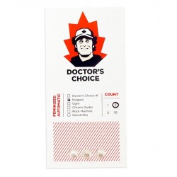 Niagara autofem (DctCh)