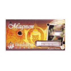 Magnum auto autofem (BudS)