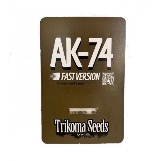 AK-74 fast fast version (TrkS)