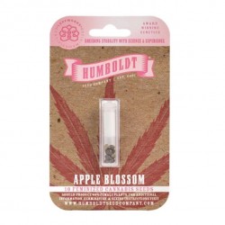 Apple Blossom Fem (HmbSC)