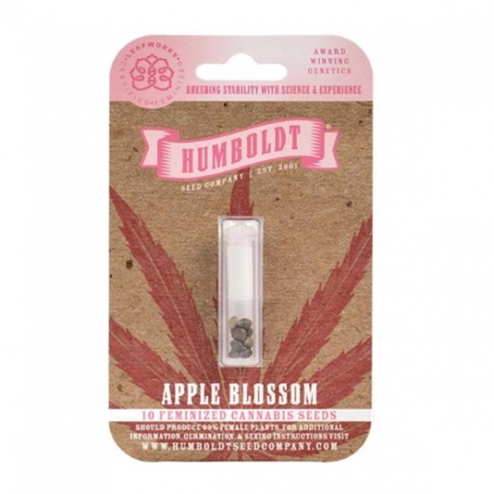 Apple Blossom Fem (HmbSC)