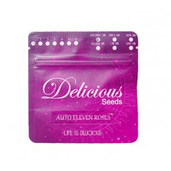 Auto Eleven Roses (DelC)