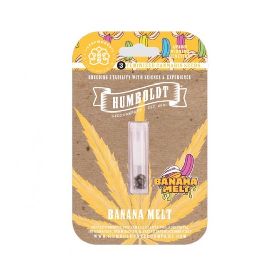Banana Melt Fem (HmbSC) NEW 2025