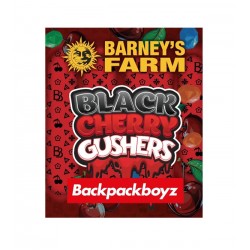 Black Cherry Gushers fem (Brn)
