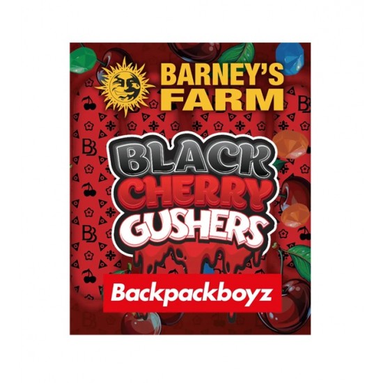 Black Cherry Gushers fem (Brn)