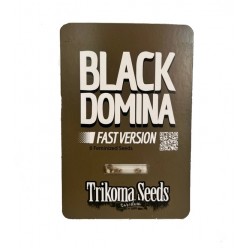Black Domina fast fast version (TrkS)