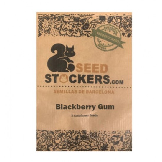 Blackberry Gum auto autofem (SdSt)