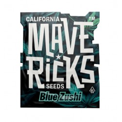 Blue Zushi fem (Mvr)