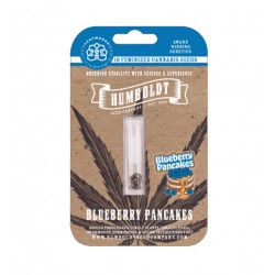 Blueberry Pancake fem (HmbSCo)