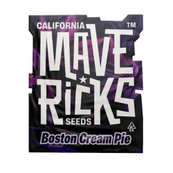 Boston Cream Pie fem (Mvr)