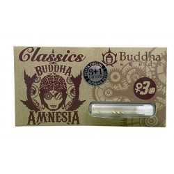 Amnesia fem (CL_BudS)