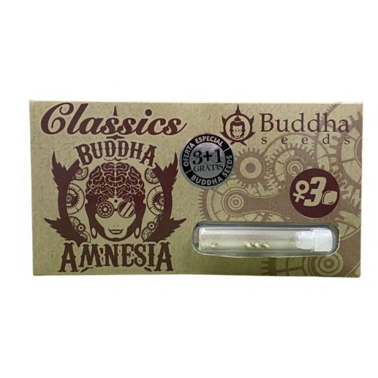 Amnesia fem (CL_BudS)