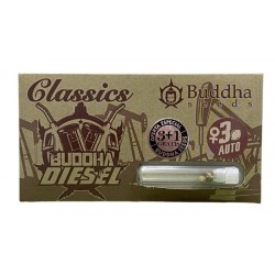 Diesel auto autofem (CL_BudS)