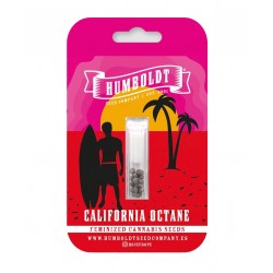 California Octane Fem (HmbSC)