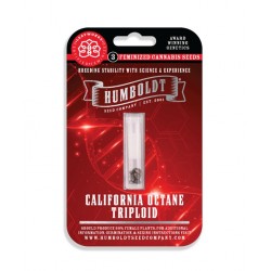 California Octane Triploid Fem (HmbSC) NEW 2026
