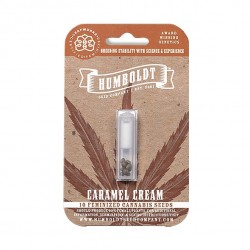 California Cream / Caramel Cream fem (HmbSCo)
