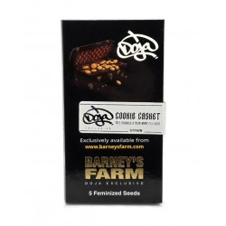 Cookie Casket fem (Brn)