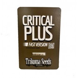 Critical Plus fast fast version (TrkS)