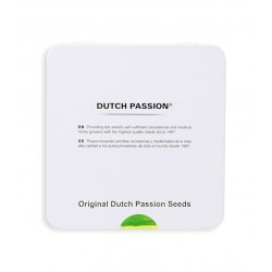 Frisian Dew fem (DP)