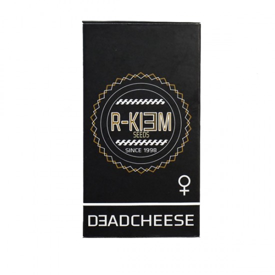 Deadcheese fem (Rk)