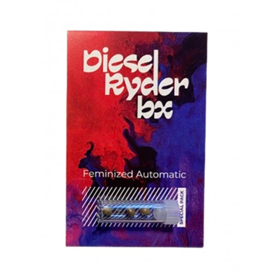 Diesel Ryder BX autofem (DctCh)
