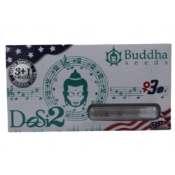 Dosidos fem (USA_BudS)