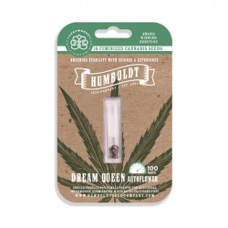 Dream Queen Auto autofem (HmbSC)