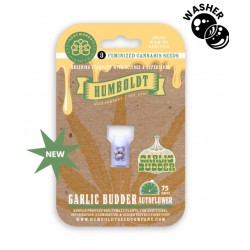 Garlic Budder Auto autofem (HmbSC) NEW 2026
