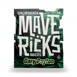 Gary Payton fem (Mvr)