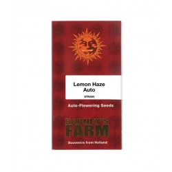 Lemon Haze auto autofem (Brn)