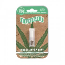 Mountaintop Mint Fem (HmbSC)
