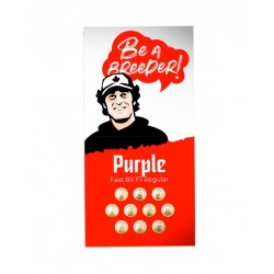 Purple Fast BX F1 reg fast regular (DctCh)