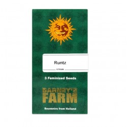 Runtz fem (Brn)
