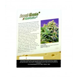 Sweet Cheese F1 Fast Version fem (SwS)