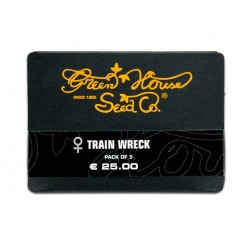 Trainwreck fem (Brn)