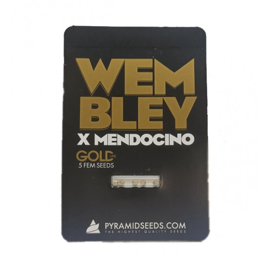 Wembley x Mendocino fem (GOLD_Py)