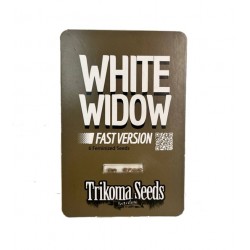 White Widow fast fast version (TrkS)