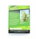 Green Poison F1 Fast Version fem (SwS)