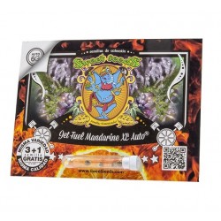 Jet Fuel Mandarine XL Auto autofem (SwS) NEW 2024