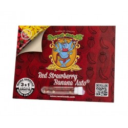 Red Strawberry Banana auto autofem (SwS)