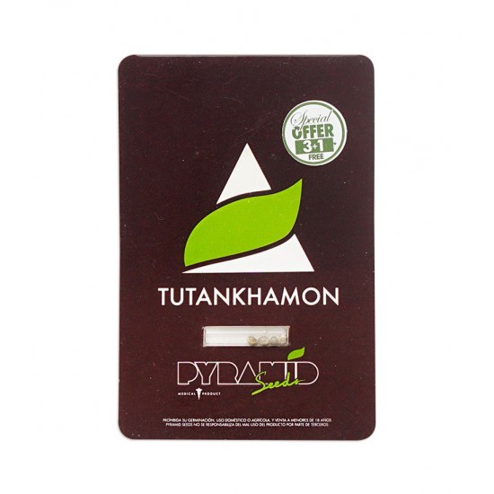 Tutankhamon fem (Py)